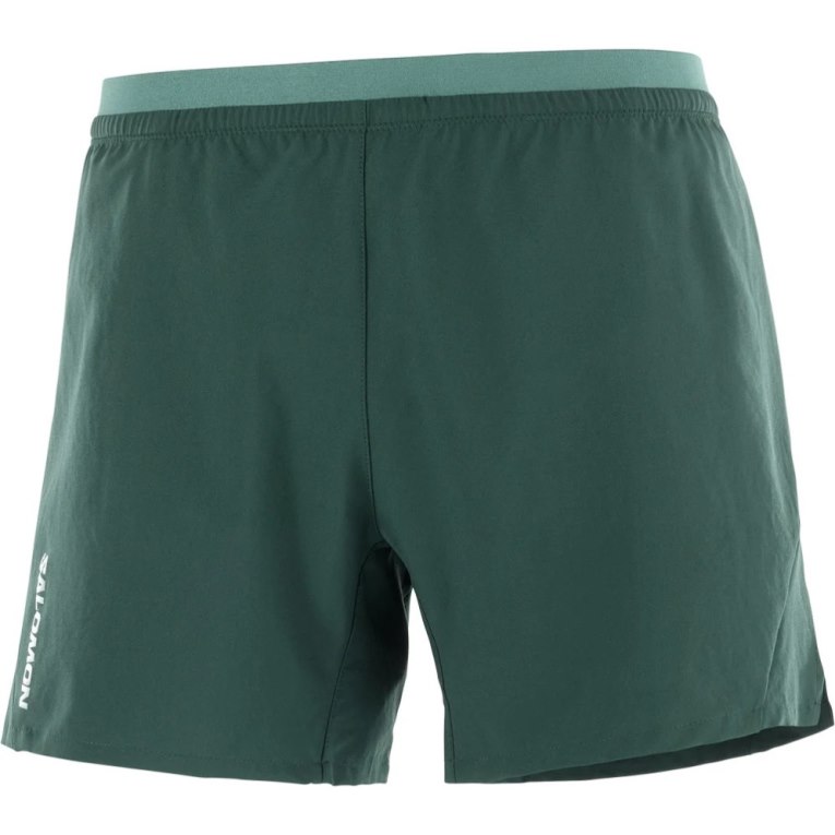 Green Salomon Cross 5'' Men's Shorts | PH 38691W